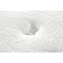  Primo International Galaxy Tight Top Mattress (Queen) IMAGE 6