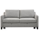  Primo International Medea UD14230593STSE Sleeper Sofa - Lyric Oyster Grey IMAGE 1
