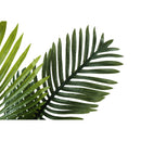 Monarch I 9503 24"H - Indoor Palm/8" Woven Basket IMAGE 4