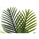 Monarch I 9508 28"H - Indoor Palm In A 6" Pot IMAGE 4