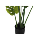 Monarch I 9510 45"H - Indoor Monstera In A 6" Pot IMAGE 3