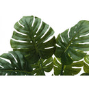 Monarch I 9510 45"H - Indoor Monstera In A 6" Pot IMAGE 4