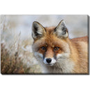  Streamline Art Home Decor Wall Art D3517-2228 IMAGE 1